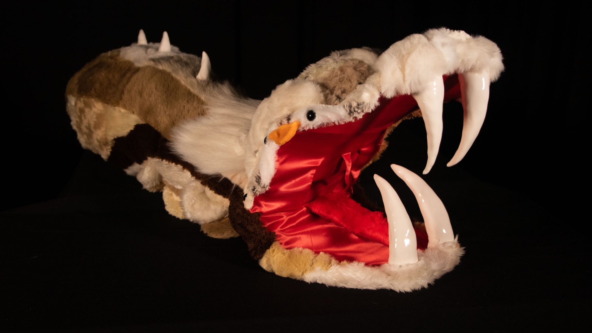 HIVEMIND: Tess Wing (Photo Credit: Emily Crooks) HIVEMIND: Tess Wing (Photo Credit: Emily Crooks)