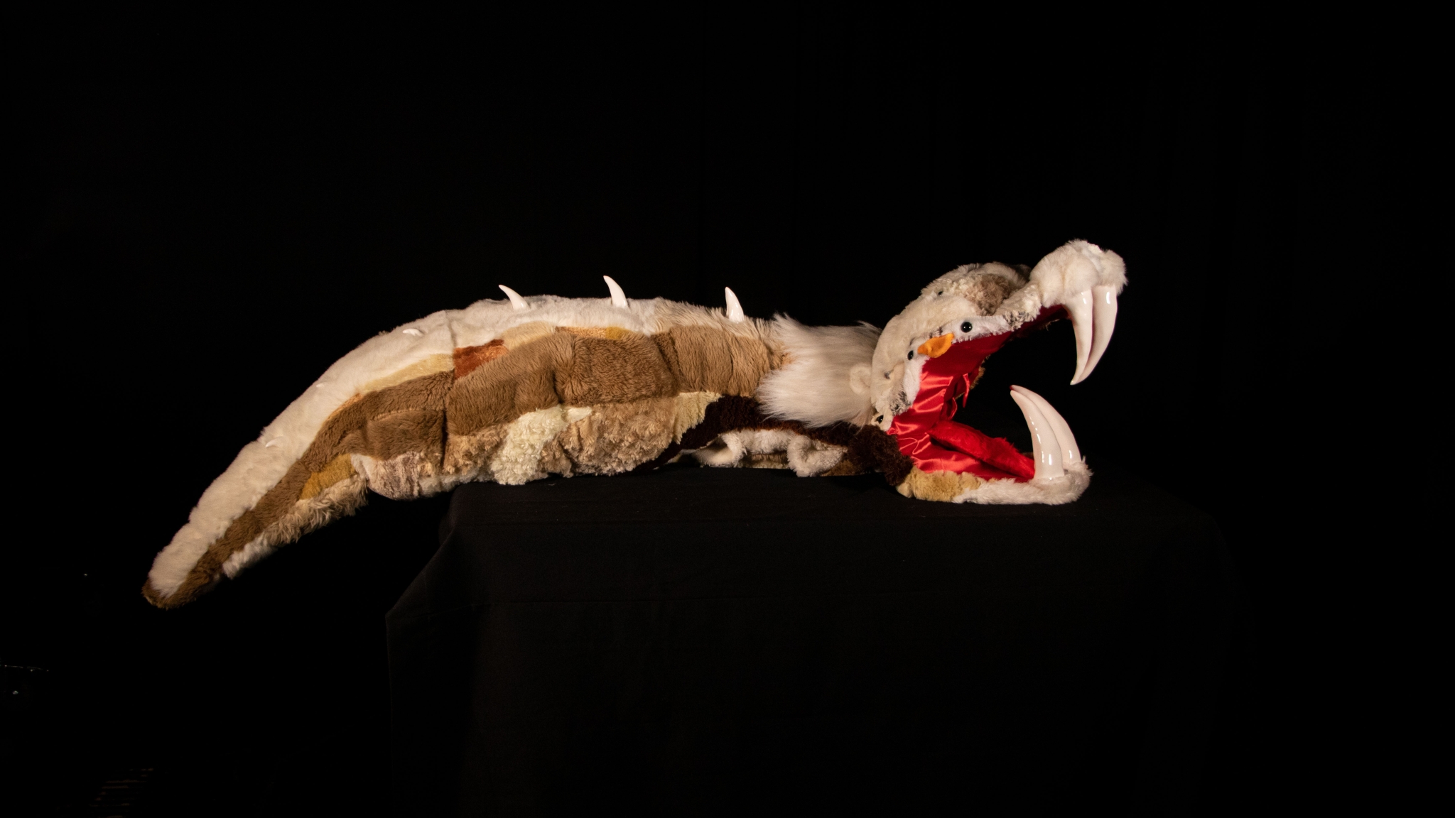 HIVEMIND: Tess Wing (Photo Credit: Emily Crooks) HIVEMIND: Tess Wing (Photo Credit: Emily Crooks)