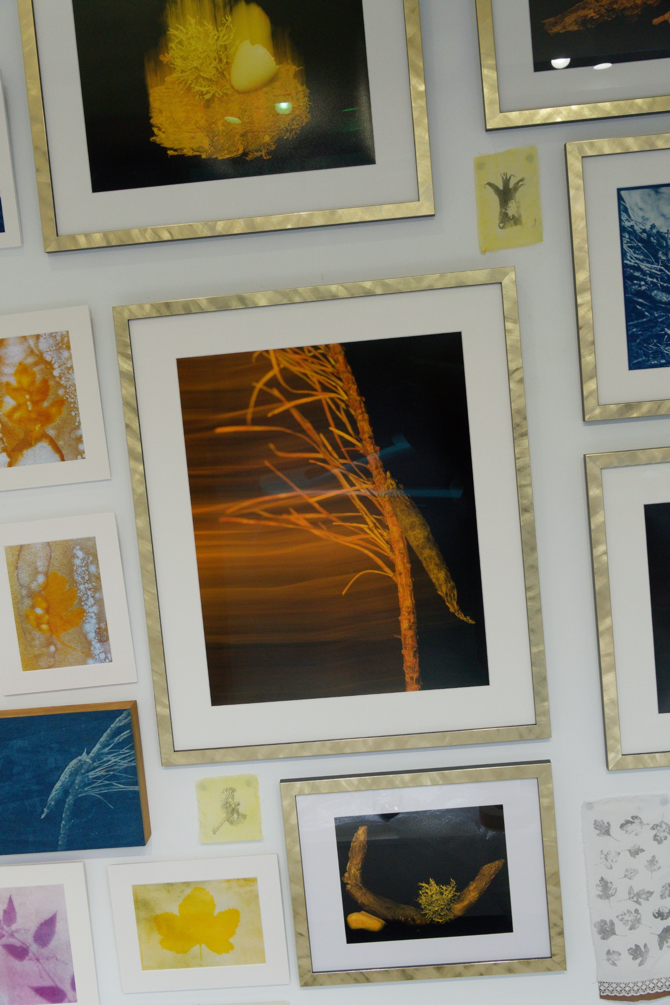 I Found it in the Forest 2